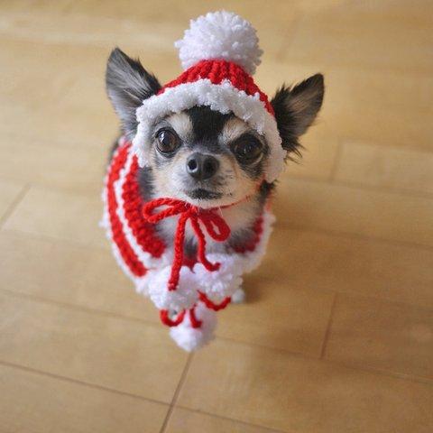 犬・猫用・クリスマスサンタニット帽