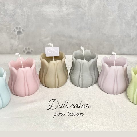 PinuSavon チューリップ キャンドル colorful