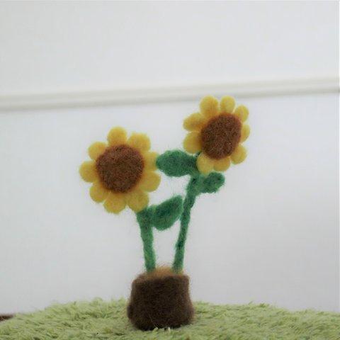 満開ひまわり🌼🌼🌼