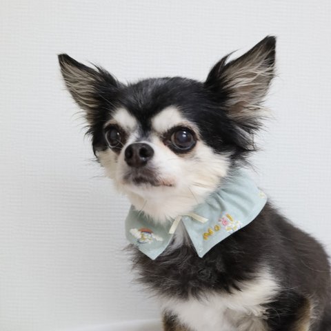 ［再販*✧］犬スタイ　ペットスタイ　刺繍　名入り　mini flower  グリーン　ドッグウェア　コットン100%