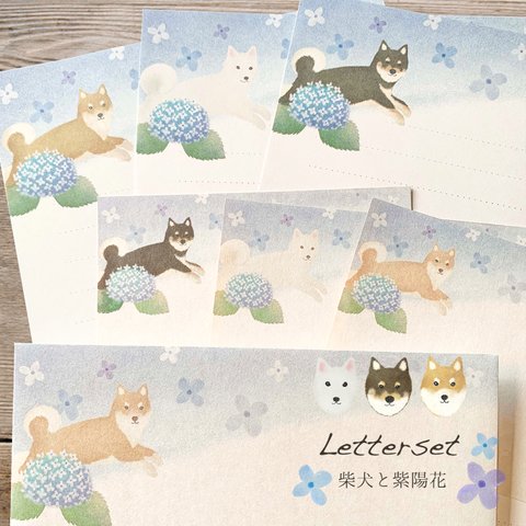 ﾚﾀｰｾｯﾄ　柴犬と紫陽花　