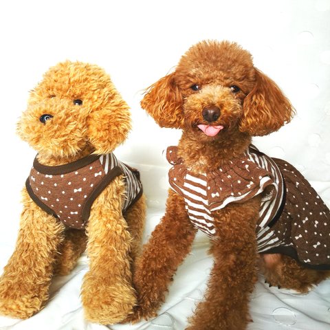 ボーダー&ドットのペア犬服