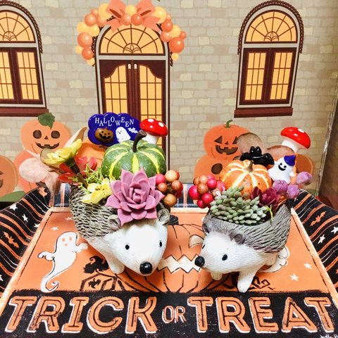 ハロウィンハリネズミ親子🎃👻🦔💕