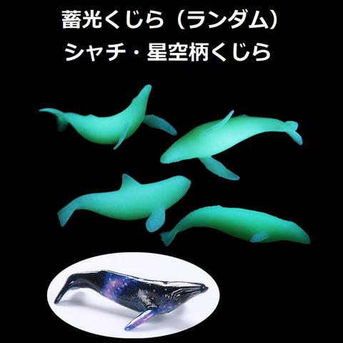 蓄光くじら（ランダム）・シャチ・星空柄くじら　1個　ミニチュア/蓄光/封入/レジン