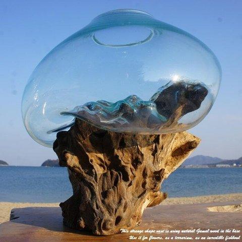 吹きガラスと天然木のオブジェL 金魚鉢 メダカ 水槽 アクアリウム テラリウム コケリウム 花瓶 流木ガラス