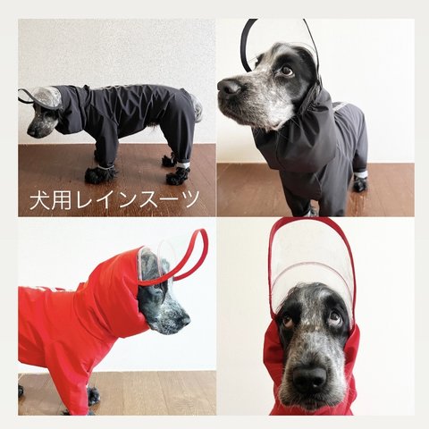 新色追加‼️ 雨の日の散歩に　犬用レインスーツ　4色　