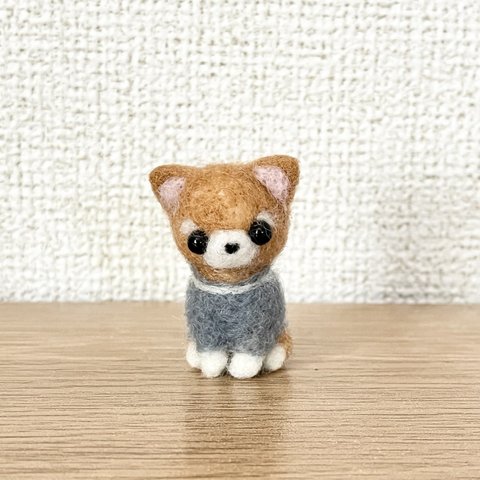 柴犬ちゃん羊毛フェルト　（ブルーの洋服）