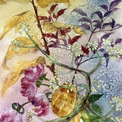 薔薇とヤツデの実　水彩画　原画