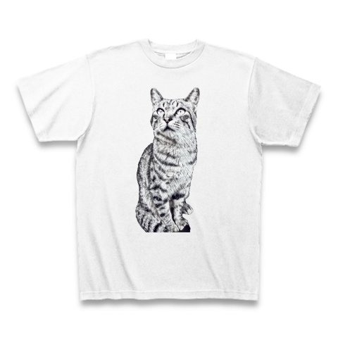 シマシマトラにゃんTシャツ Tabby cat T-shirt（送料無料）