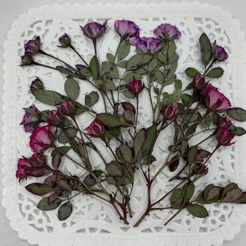 NO.878限定2個❣️淡いパープルとローズピンクのミニ薔薇 ／押し花素材