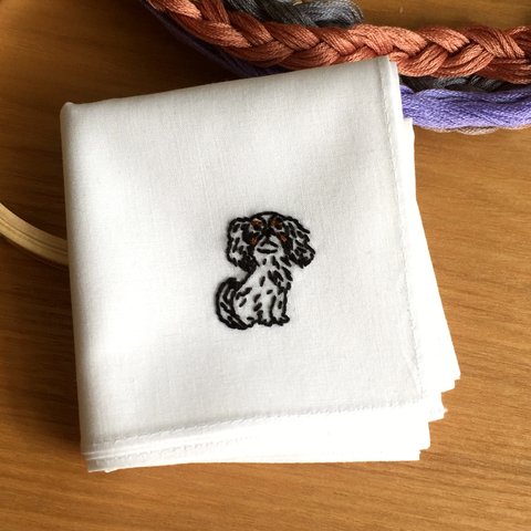 手刺繍コットンハンカチ（キャバリア　トライカラー）