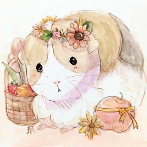 モルモット　透明水彩イラスト原画