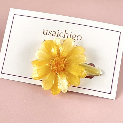 【本物のお花】プリザーブドフラワージニア　ヘアクリップ　イエローカラー　黄色ビタミンカラー
