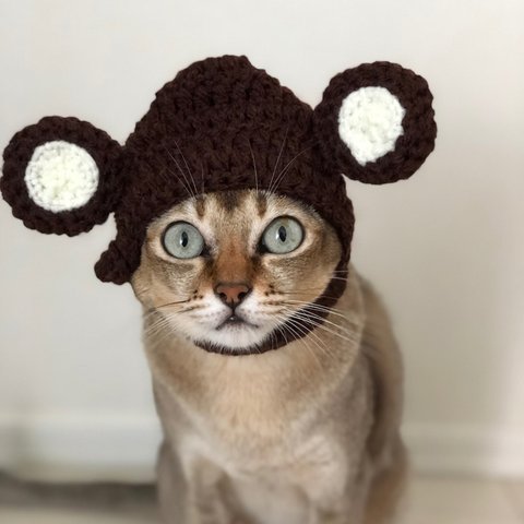 猫の帽子 *にゃんチッチー