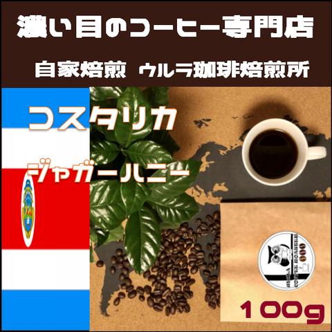 【自家焙煎コーヒー豆】コスタリカ ジャガーハニー100g