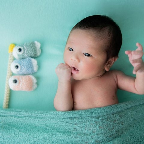 《フォトプロップス》　鯉のぼりのあみぐるみ