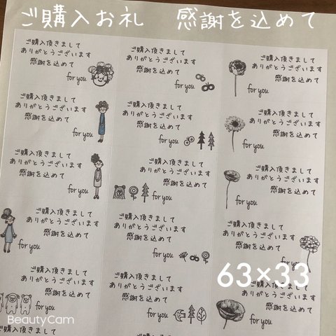 63×33サイズ　サンキューシール　A4シート　手書き　感謝を込めて　アソート