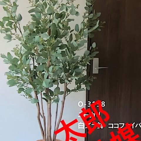 光触媒人工観葉植物ウォールグリーンフェイクハンドメイドフラワー　ユーカリgp