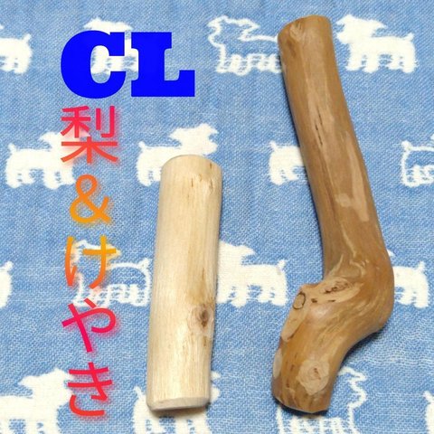 CL.けやき梨の木新品.犬用おもちゃ、小型犬向け歯固め、かじり木