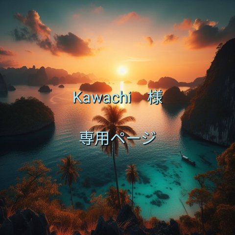 Kawachi様専用ページ