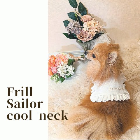 【受注生産】Frill Sailor cool neck