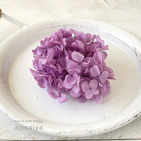 ひめあじさい　パープル　こわけ　【 ゆめあじさい 】プリザーブドフラワー　紫陽花・アジサイ