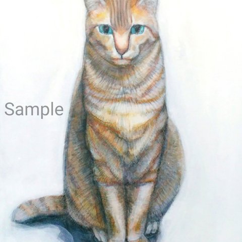 Tabby Cat 虎猫　真作　アクリル、色鉛筆絵画