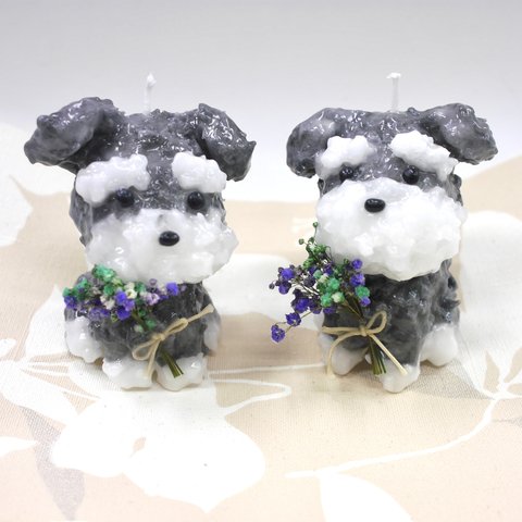 ワンちゃんシリーズ🐶シュナウザーの兄弟🐶キャンドル🕯弟くん🤎