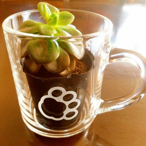 にくきゅうグラス【マグカップ】猫・犬🐾猫グラス・犬グラス