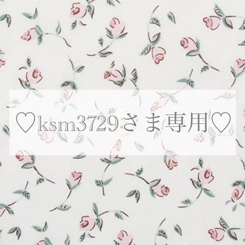 【ksm3729さま専用♡】キッズハンガー　5本セット