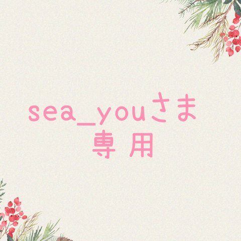 sea_youさま専用 ポニーフック＆ピアス