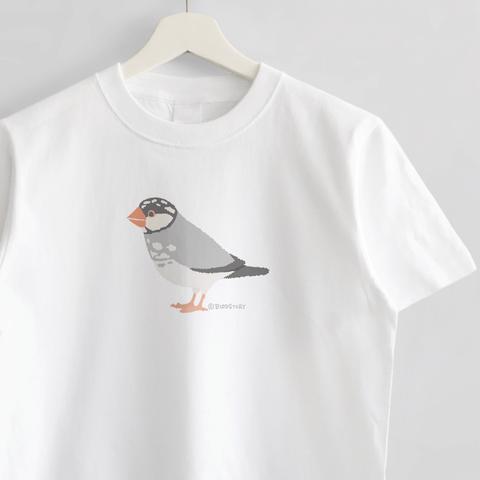 Tシャツ（Simple / 文鳥 / 桜）