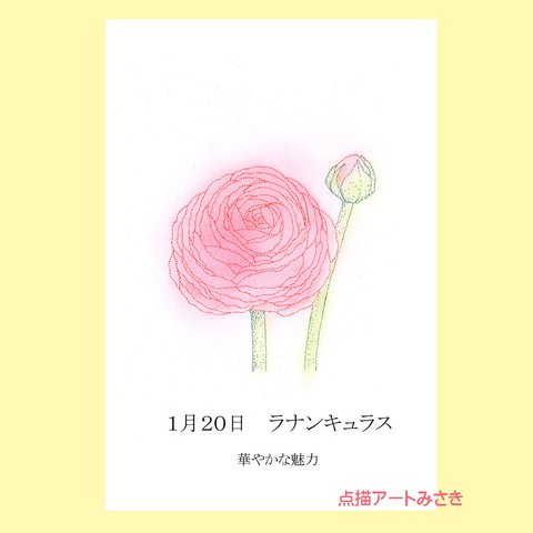 1月20日誕生花カード（花言葉つき）点描画