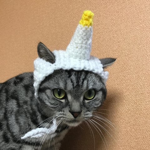 猫用帽子 ユニコーン