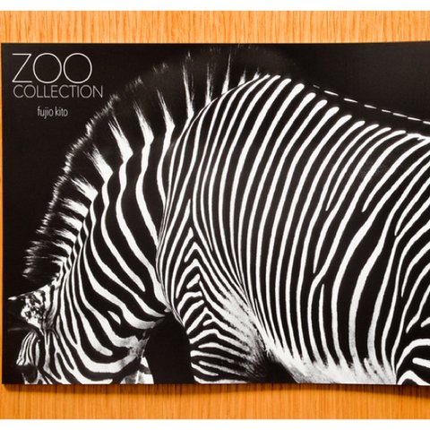 ZOO COLLECTION