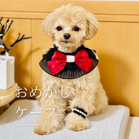 おめかしケープ（誕生日、つけ襟、スタイ、犬、猫、うさぎ、ベビークラウン、ハロウィン、クリスマス