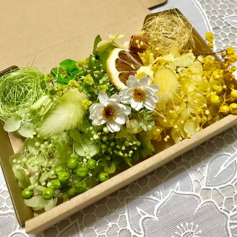 清楚グリーンイエロー＊ハーバリウム 花材ドライフラワー  花材セット