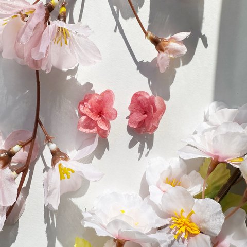 紫陽花桜🌸本物の紫陽花 ピアス・イヤリング