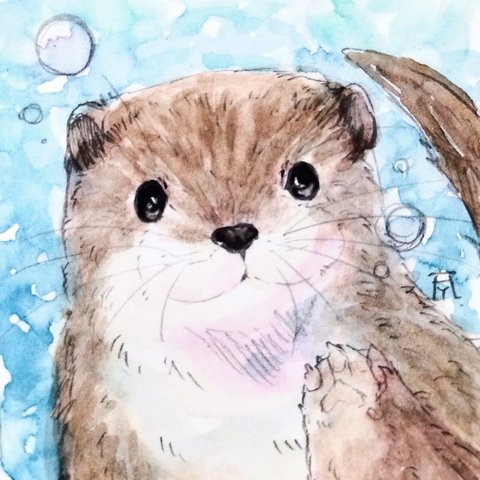 カワウソ　透明水彩イラスト原画