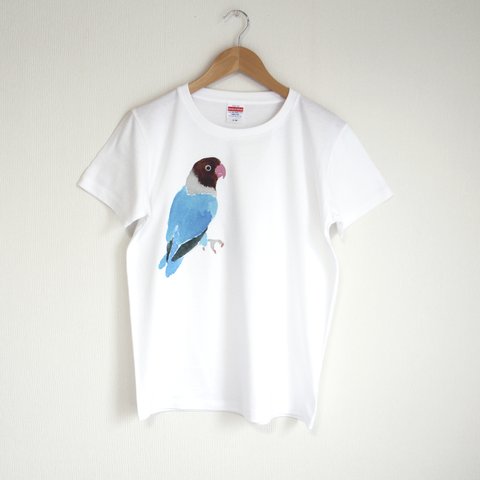 p-jet　ブルーボタンインコ Tシャツ　/ 鳥　インコ　ボタンインコ 