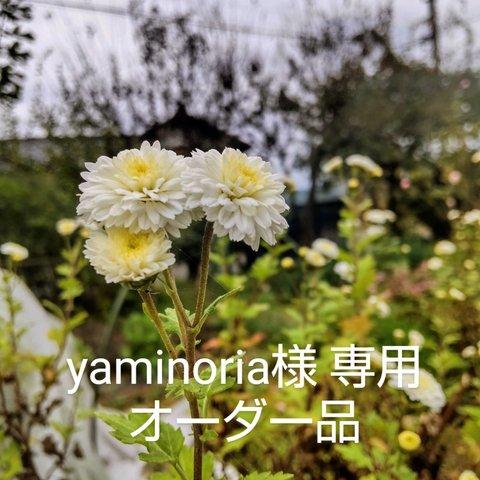 yaminoria様 専用
オーダー品 かんざし2本