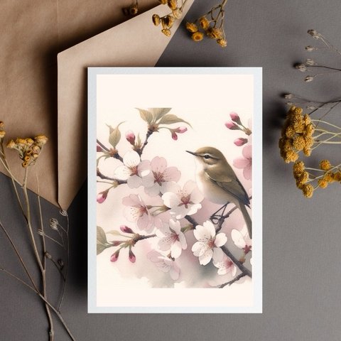 【ポストカード】ウグイスと桜の絵はがき