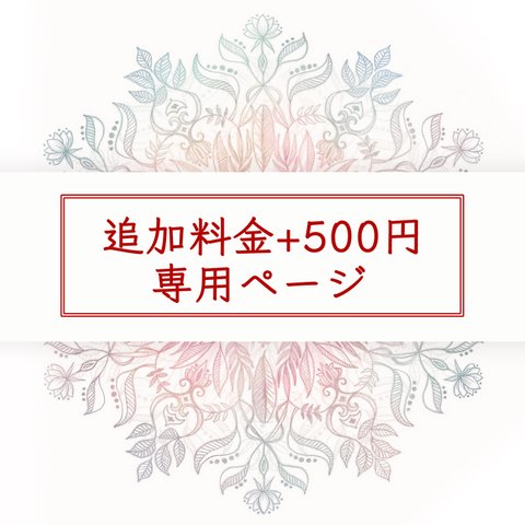 追加料金500円✳︎専用ページ