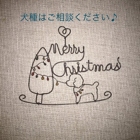 愛犬のクリスマス