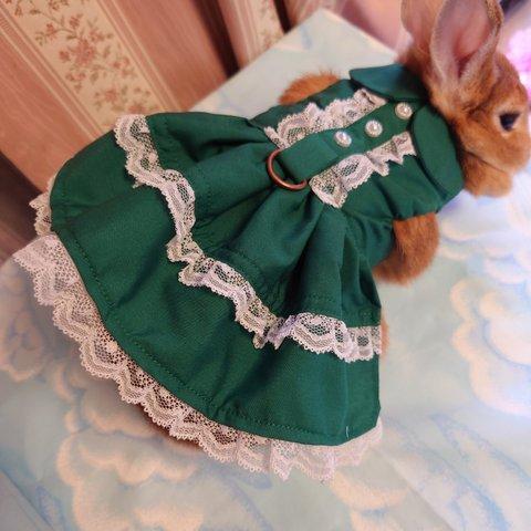 うさぎM ディープグリーンフリルドレス ペット服 ハーネス