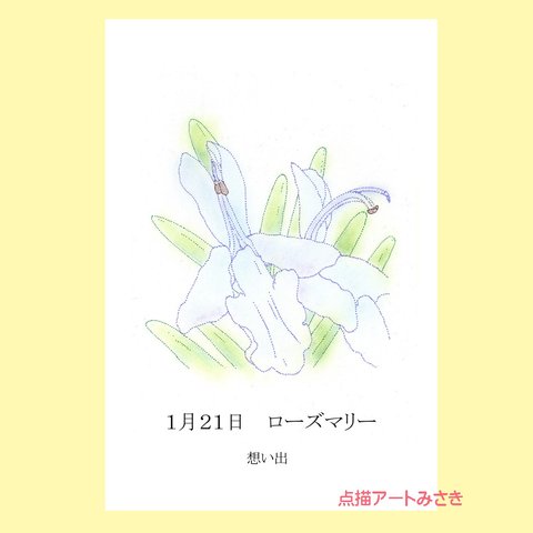 1月21日誕生花カード（花言葉つき）点描画