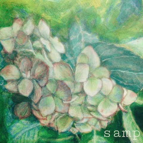 Japanese Green Hydrangea Flower 緑の紫陽花　真作　アクリル、色鉛筆絵画