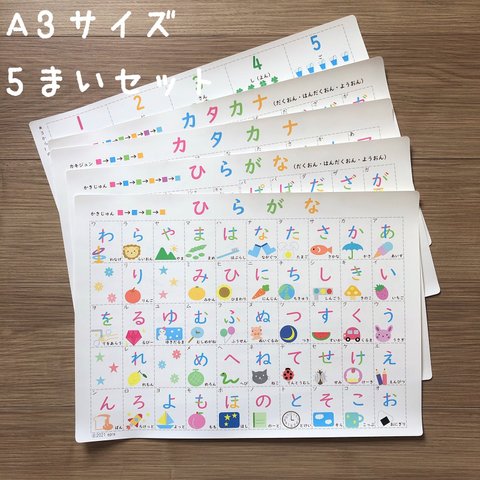 【送料無料】A3　学習ポスター５枚セット
