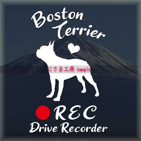 わんちゃんのかわいいドラレコステッカー　『DRIVE　RECORDER』