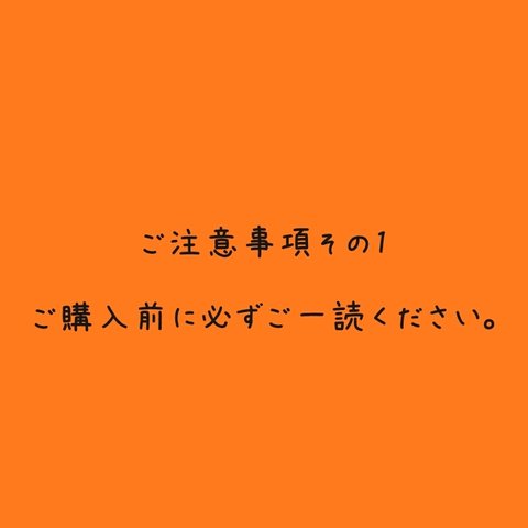 ご注意事項★ご購入前に必ずご一読願います★その1